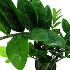 Planta Artificial Permanente Valence Zamioculcas 100cm