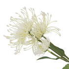 Planta Artificial Protea Off White 76cm Florarte