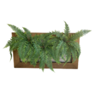 Planta Artificial Realista De Samambaia 9 Unidades Para Compl