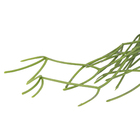 Planta Artificial Ripsalis de Pendurar Verde 50cm Florarte