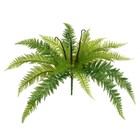 Planta Artificial Samambaia Verde Florarte