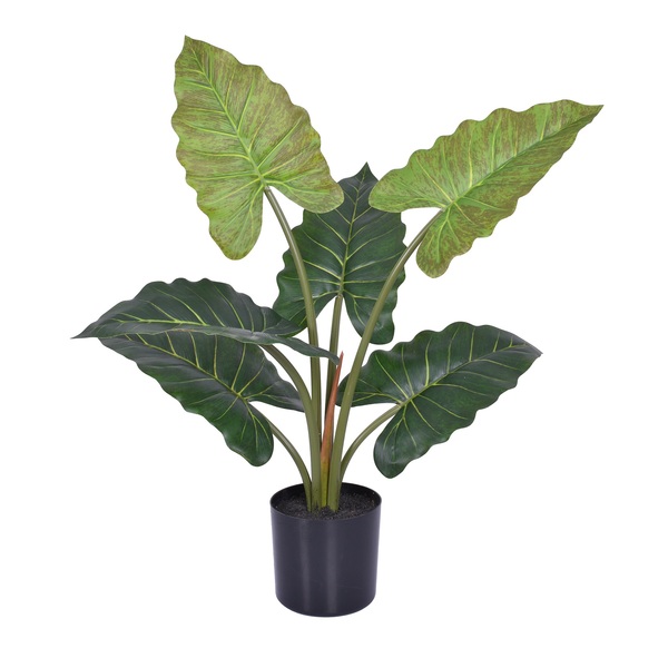 Planta Artificial Taro 50x68cm Grillo