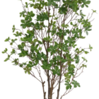 Planta Árvore Artificia Folha Pu C/pote X150 Verde 1,20cm