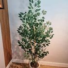 Planta Árvore Artificial Bambu Real Toque 1,6m Pabrt160