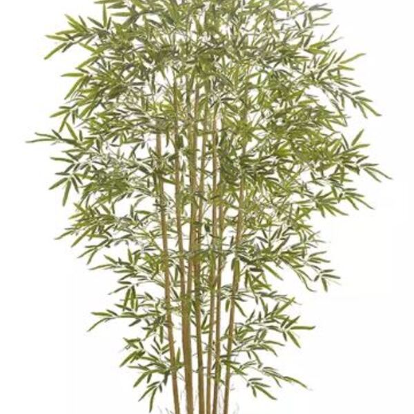 Planta Árvore Artificial Bambu Real Toque Verde 1,9m