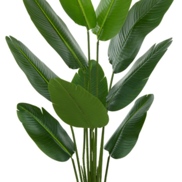 Planta Árvore Artificial Bananeira De Jardim Real Toque X10 V