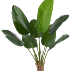 Planta Árvore Artificial Bananeira De Jardim Real Toque X8 Ve