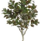 Planta Árvore Artificial Clusia Real Toque X282 Verde Outono