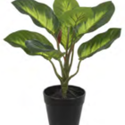 Planta Árvore Artificial Comigo Ninguém Pode Real Toque X8 Ve