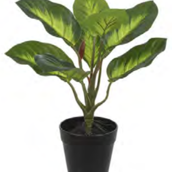 Planta Árvore Artificial Comigo Ninguém Pode Real Toque X8 Ve