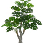 Planta Árvore Artificial Costela De Adão Real Toque Verde 1,2