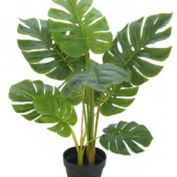 Planta Árvore Artificial Costela De Adão Real Toque Verde 85cm