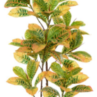 Planta Árvore Artificial Cróton Real Toque C/pote X114 Verde