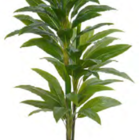 Planta Árvore Artificial Dracena Real Toque C/pote X49 Verde
