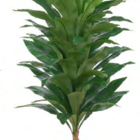 Planta Árvore Artificial Dracena Real Toque X64 Verde 1,7m