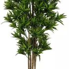 Planta Árvore Artificial Dracena Reflexa Verde Escuro 1,7m