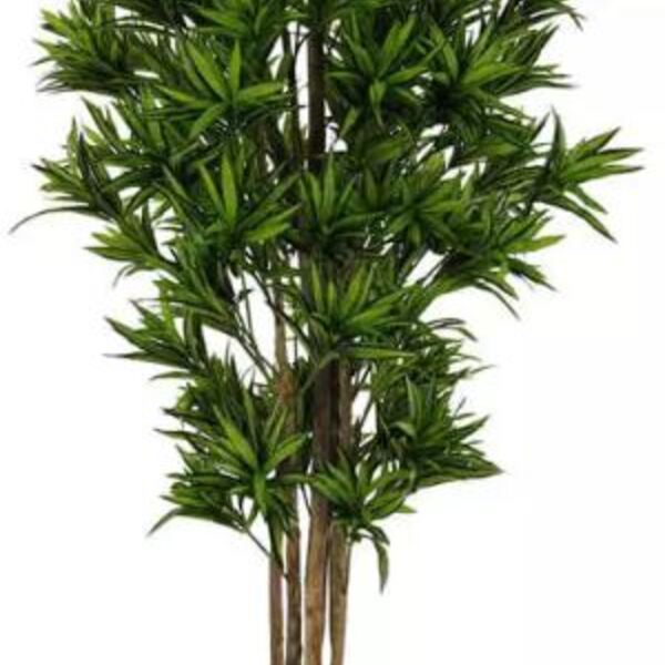 Planta Árvore Artificial Dracena Reflexa Verde Escuro 1,7m
