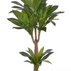 Planta Árvore Artificial Dracena Verde Real Toque 1,2m