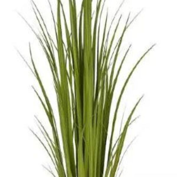 Planta Árvore Artificial Grass Verde 1,5m