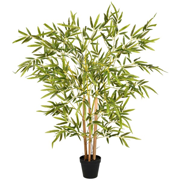 Planta Bambu Grande Verde Grillo