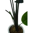 Planta Bananeira Permanente 1,80 Cm