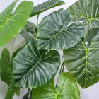 Planta Comigo Ninguém Pode Artificial 70cm Decorativo Cores: