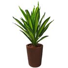 Planta Dracena Árvore Artificial 96cm P/ Decoração De Sala -