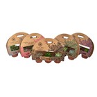 Planta Natural Kit Suculentas Pote 11 Velling