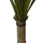 Planta Palmeira Permanente Yuca