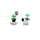 Planta Pendente Variado 1/2 Cuia