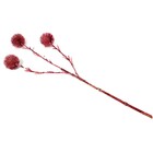 Planta Permanente Echinops 54cm Vinho