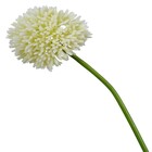 Planta Permanente Flor de Alho 54cm Creme