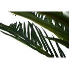 Planta Permanente Palmeira 1,80 Cm