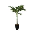 Planta Permanente Palmeira 1,80 Cm