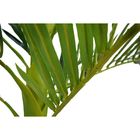 Planta Permanente Palmeira 1,80 Cm