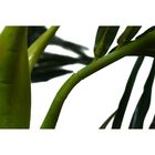 Planta Permanente Palmeira 1,80 Cm