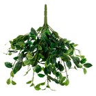 Planta Permanente Pendente Brinco de Princesa 34cm