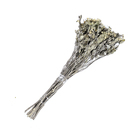 Planta Seca Alecrin Bege Artesanal