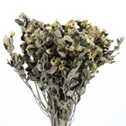 Planta Seca Alecrin Bege Artesanal