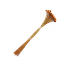 Planta Seca Botão Branco Laranja Artesanal