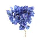 Planta Seca Bougainville Azul Artesanal