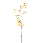 Planta Seca Bougainville Branco Artesanal