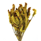 Planta Seca Buque Celosia Amarelo Artesanal