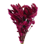 Planta Seca Buque Celosia Rosa Artesanal
