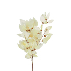 Planta Seca Buquê Libelula Branco 60cm Pense Flores