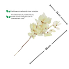 Planta Seca Buquê Libelula Branco 60cm Pense Flores