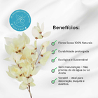 Planta Seca Buquê Libelula Branco 60cm Pense Flores
