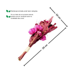 Planta Seca Buquê Mini Variado Pink 25cm Pense Flores