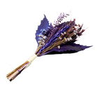 Planta Seca Buquê Mini Variado Roxo 25cm Pense Flores