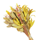 Planta Seca Buquê Primavera Amarelo 60cm Pense Flores